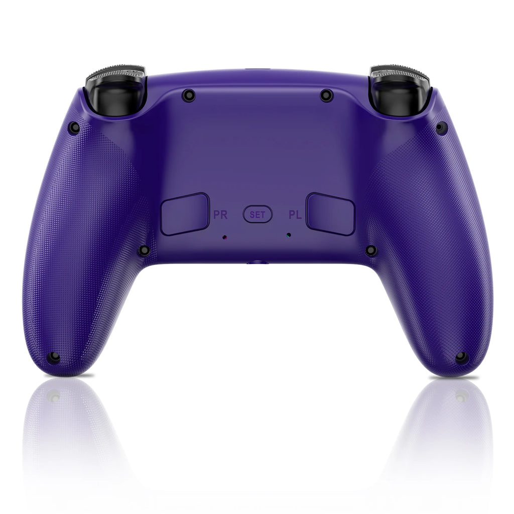 RGB Pro PS5/PC Controller