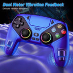 Blue RGB Pro Controller